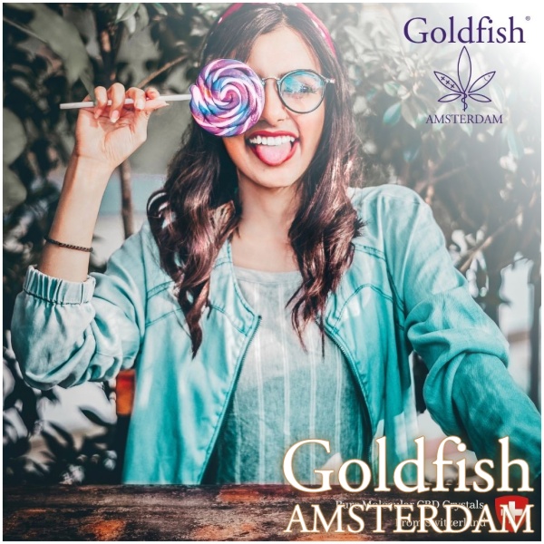 GOLDFISH AMSTERDAM CBD GOLD LEAF LOLLY