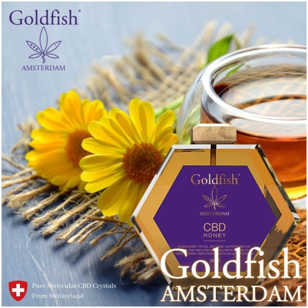 GOLDFISH AMSTERDAM CBD HONEY