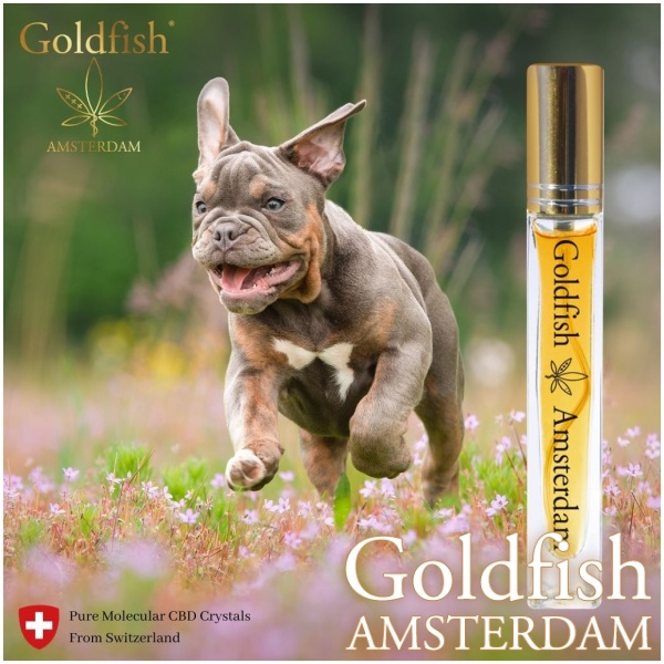 HEMP OIL CATS & SMALL DOGS