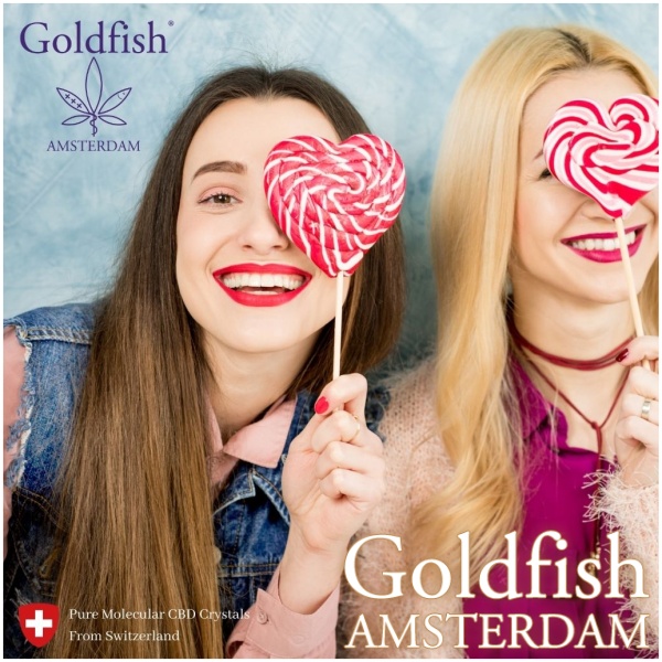 GOLDFISH AMSTERDAM CBD GOLD LEAF LOLLY
