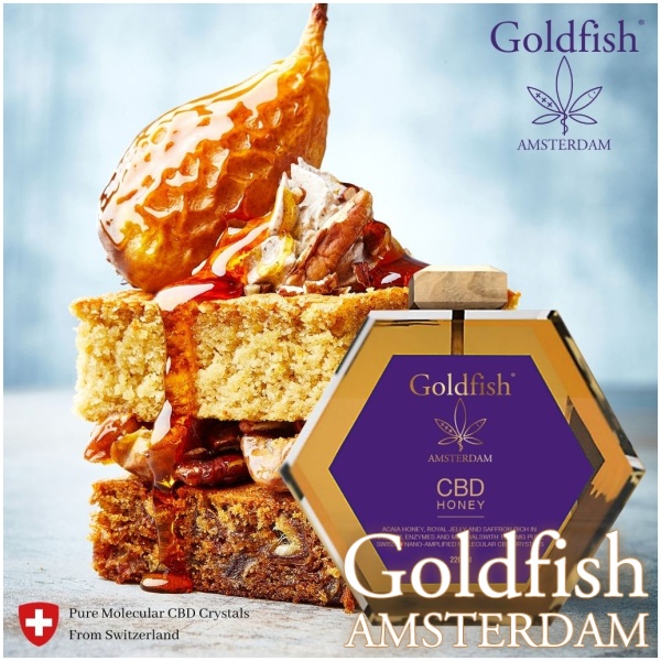 GOLDFISH AMSTERDAM CBD HONEY