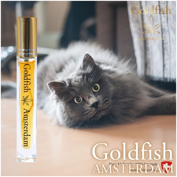 HEMP OIL CATS & SMALL DOGS