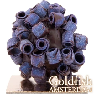 GOLDFISH AMSTERDAM CBD PRALINES