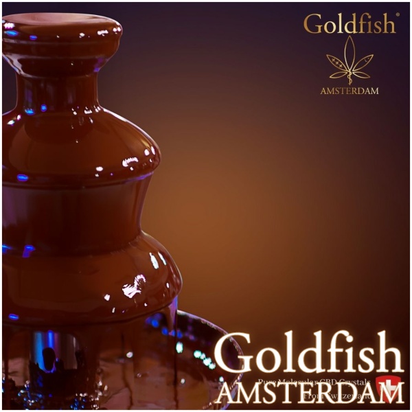 GOLDFISH AMSTERDAM CBD PRALINES