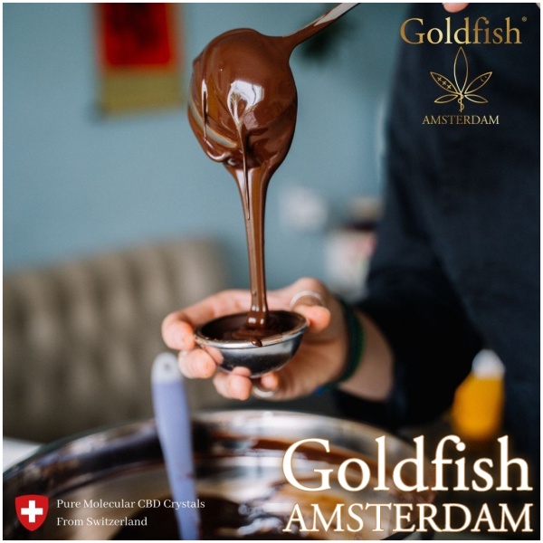 GOLDFISH AMSTERDAM CBD PRALINES